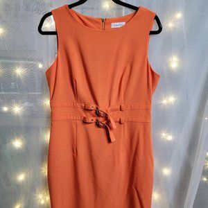 Calvin Klein Sleeveless Career Dress - Size 10